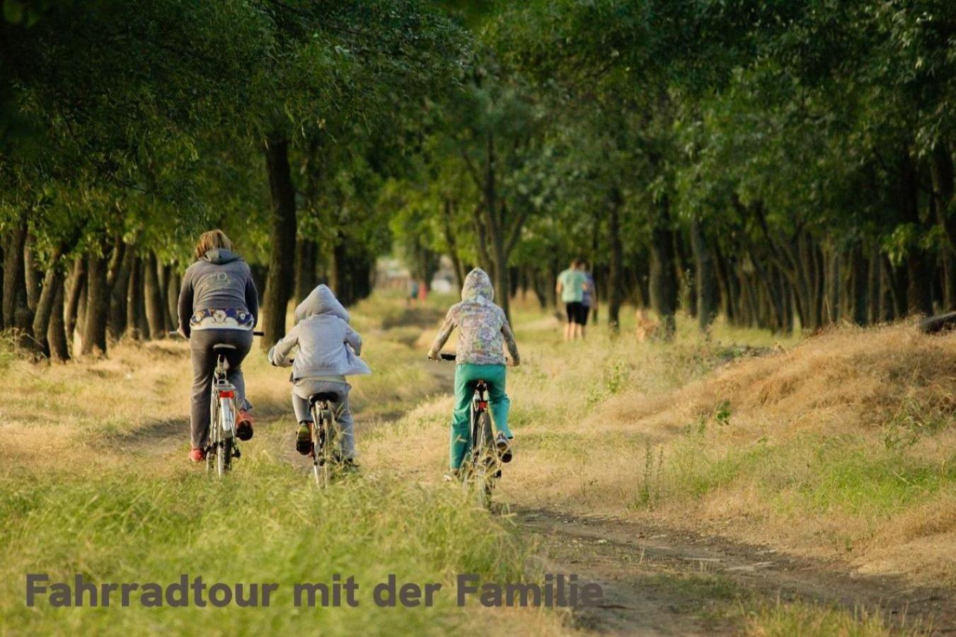 "Lilie" In Geestland-Langen, Ideal Fuer Familien & Homeoffice - Wlan & Parkplatz - 3 Zimmer, Balkon - Nahe Bremerhaven Exteriér fotografie